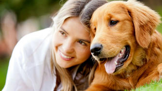 Dogs in America: How My Golden Retriever Made Five Friends with Neighbors.